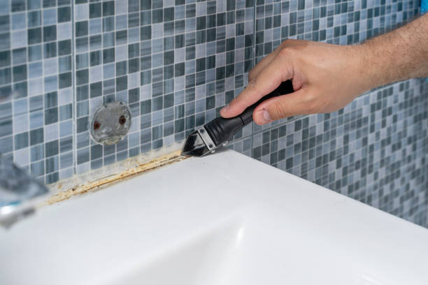 Best Bathroom Mold Remediation in Beecher, MI